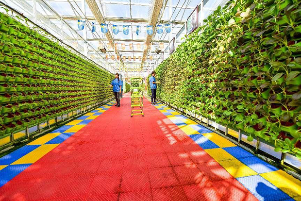 image007.jpg image007.jpg