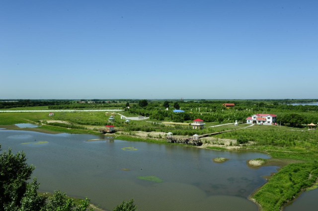 Honeyview_image003.jpg Honeyview_image003.jpg